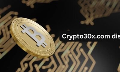 crypto30x.com dis