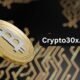 crypto30x.com dis
