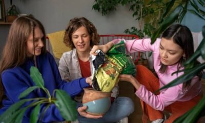 veganovies com